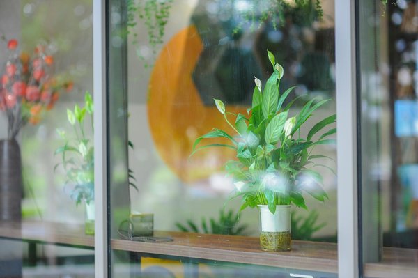 Y a-t-il des campings en Vendée avec des animations nocturnes ?